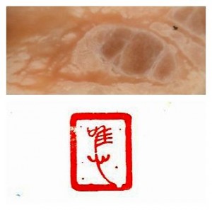 zhefu
